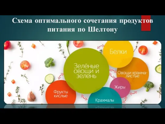 Схема оптимального сочетания продуктов питания по Шелтону