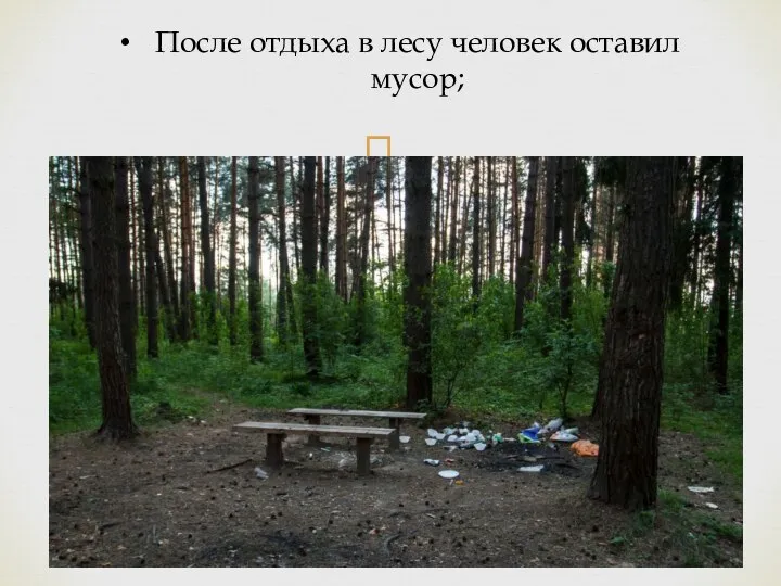 После отдыха в лесу человек оставил мусор;
