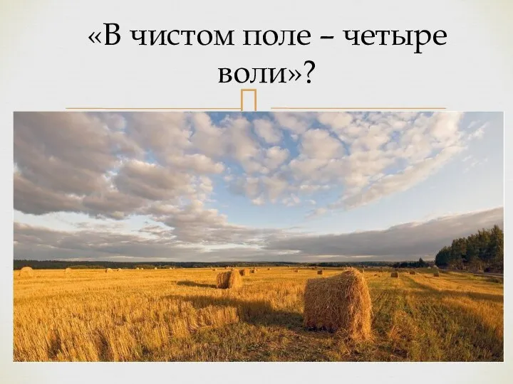 «В чистом поле – четыре воли»?