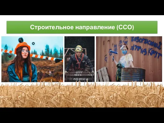 Строительное направление (ССО)