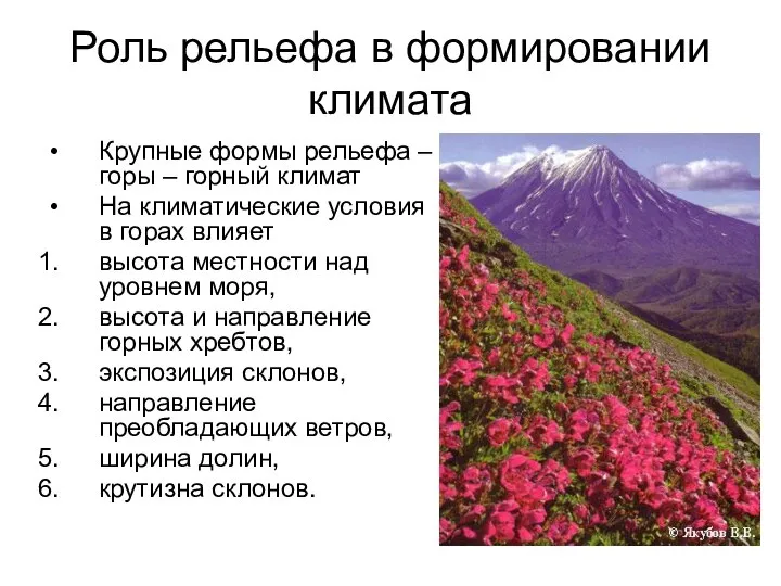 Роль рельефа в формировании климата Крупные формы рельефа – горы – горный