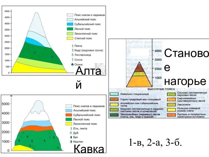 Алтай Становое нагорье Кавказ 1-в, 2-а, 3-б.