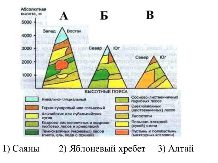 1) Саяны 2) Яблоневый хребет 3) Алтай