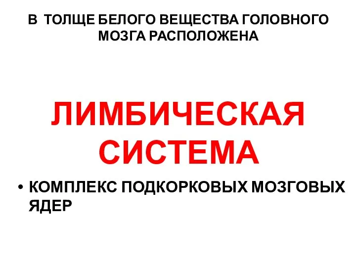 В ТОЛЩЕ БЕЛОГО ВЕЩЕСТВА ГОЛОВНОГО МОЗГА РАСПОЛОЖЕНА ЛИМБИЧЕСКАЯ СИСТЕМА КОМПЛЕКС ПОДКОРКОВЫХ МОЗГОВЫХ ЯДЕР