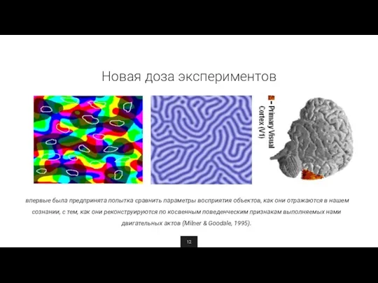 Новая доза экспериментов впервые была предпринята попытка сравнить параметры восприятия объектов, как