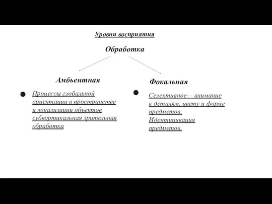 Уровни восприятия Обработка Амбьентная Фокальная Процессы глобальной ориентации в пространстве и локализации