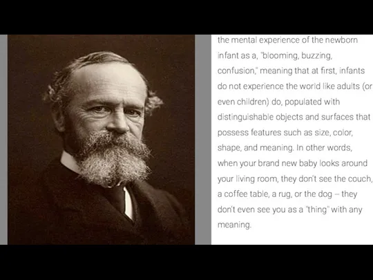 the mental experience of the newborn infant as a, "blooming, buzzing, confusion,"