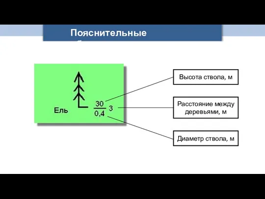 Пояснительные обозначения Высота ствола, м Диаметр ствола, м Расстояние между деревьями, м