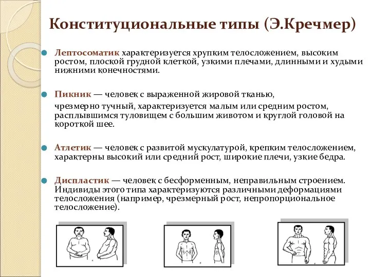 Конституциональные типы (Э.Кречмер) Лептосоматик характеризуется хрупким телосложением, высоким ростом, плоской грудной клеткой,