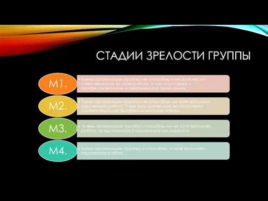 СТАДИИ ЗРЕЛОСТИ ГРУППЫ