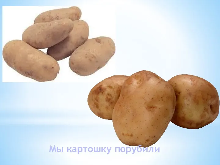 Мы картошку порубили