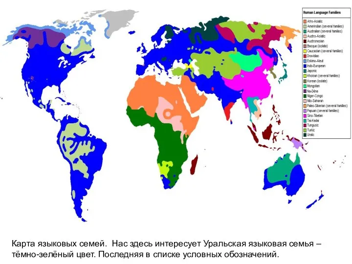 Карта языковых семей. Нас здесь интересует Уральская языковая семья – тёмно-зелёный цвет.