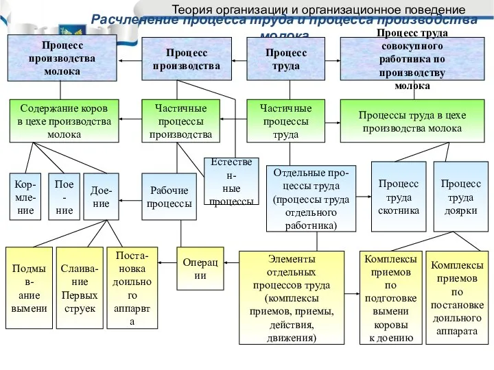 Расчленение процесса труда и процесса производства молока Процесс производства молока Процесс производства