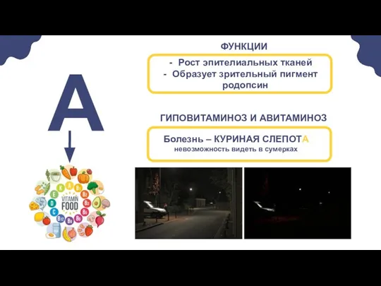 Рост эпителиальных тканей Образует зрительный пигмент родопсин А Болезнь – КУРИНАЯ СЛЕПОТА