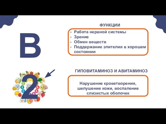 Работа нервной системы Зрение Обмен веществ Поддержание эпителия в хорошем состоянии В2