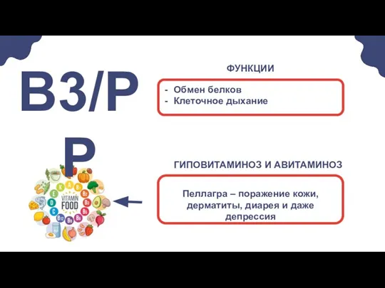 Обмен белков Клеточное дыхание В3/PP Пеллагра – поражение кожи, дерматиты, диарея и