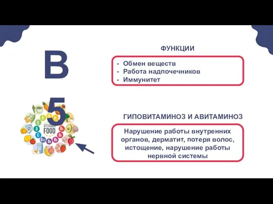 Обмен веществ Работа надпочечников Иммунитет В5 Нарушение работы внутренних органов, дерматит, потеря