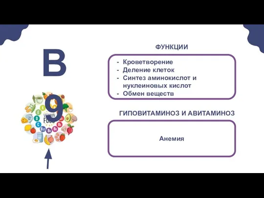 Кроветворение Деление клеток Синтез аминокислот и нуклеиновых кислот Обмен веществ В9 Анемия ГИПОВИТАМИНОЗ И АВИТАМИНОЗ ФУНКЦИИ