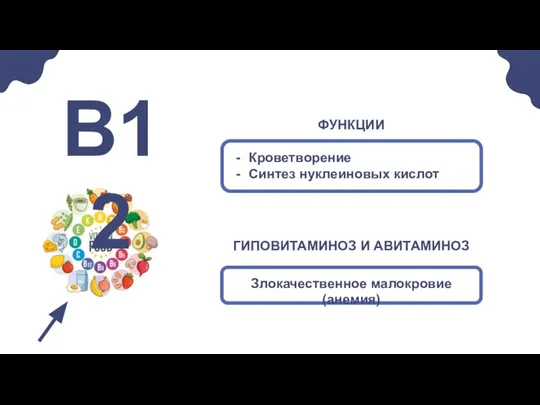 Кроветворение Синтез нуклеиновых кислот В12 Злокачественное малокровие (анемия) ГИПОВИТАМИНОЗ И АВИТАМИНОЗ ФУНКЦИИ