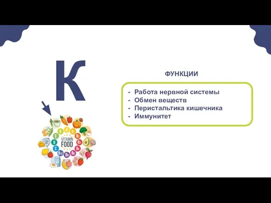 Работа нервной системы Обмен веществ Перистальтика кишечника Иммунитет К ФУНКЦИИ