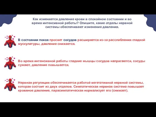 Как изменяется давление крови в спокойном состоянии и во время интенсивной работы?