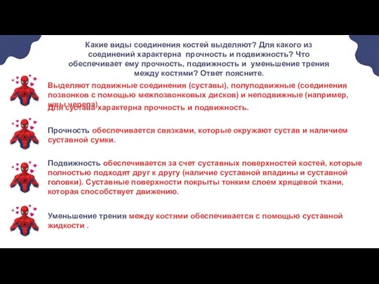 Какие виды соединения костей выделяют? Для какого из соединений характерна прочность и