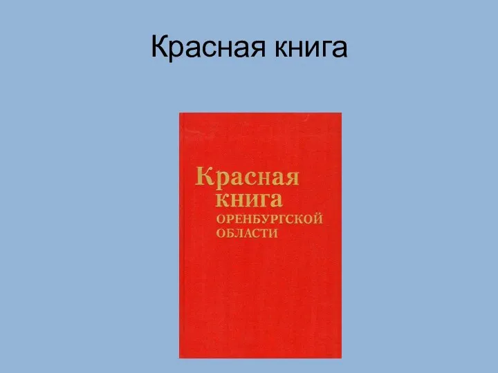 Красная книга