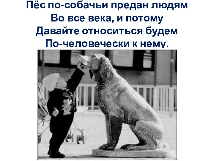 Пёс по-собачьи предан людям Во все века, и потому Давайте относиться будем По-человечески к нему.