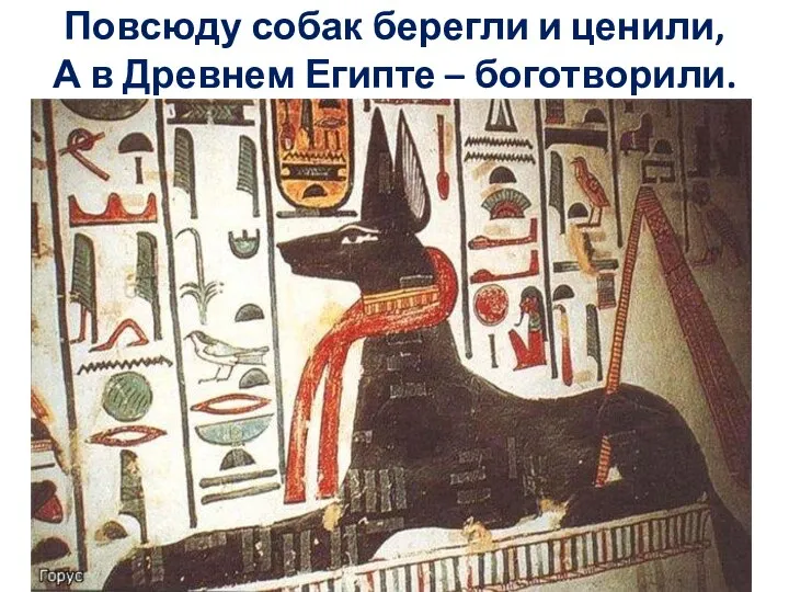 Повсюду собак берегли и ценили, А в Древнем Египте – боготворили.