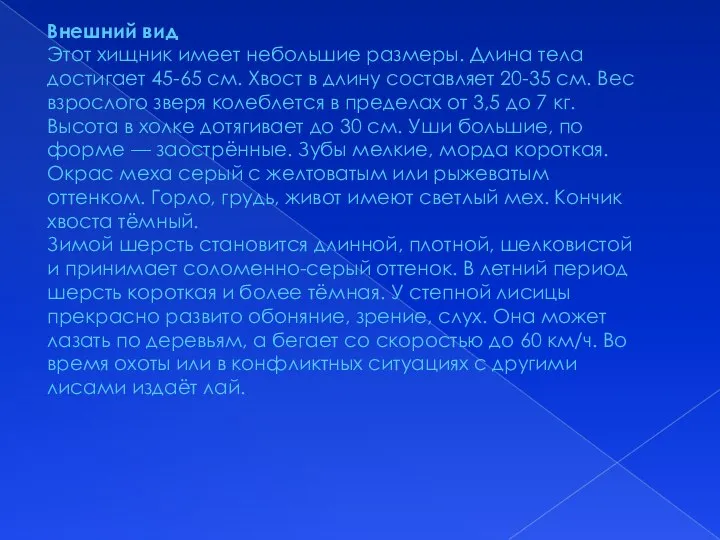 Внешний вид Этот хищник имеет небольшие размеры. Длина тела достигает 45-65 см.