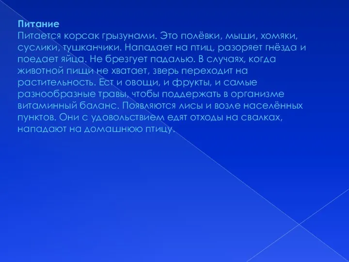 Питание Питается корсак грызунами. Это полёвки, мыши, хомяки, суслики, тушканчики. Нападает на