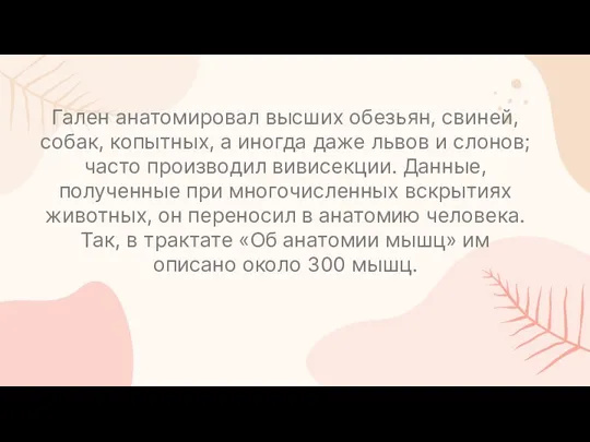 Гален анатомировал высших обезьян, свиней, собак, копытных, а иногда даже львов и