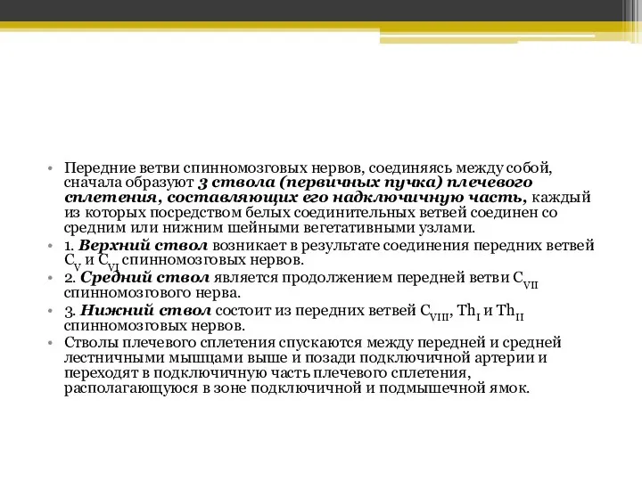 Передние ветви спинномозговых нервов, соединяясь между собой, сначала образуют 3 ствола (первичных