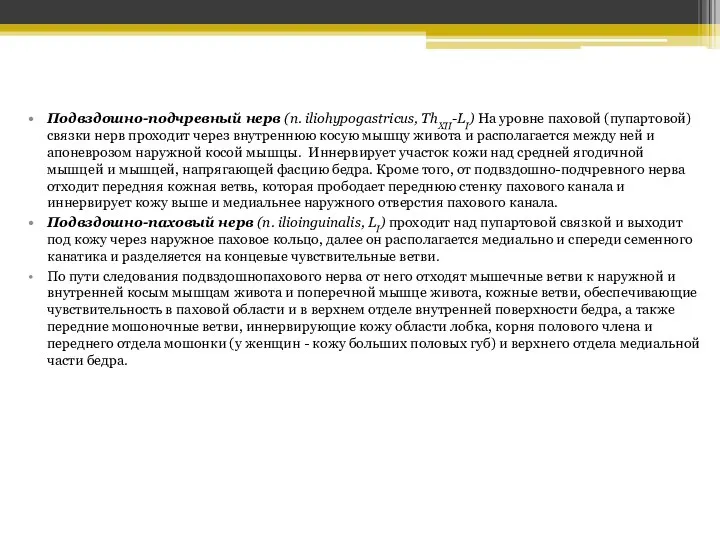 Подвздошно-подчревный нерв (n. iliohypogastricus, ThXII-LI) На уровне паховой (пупартовой) связки нерв проходит