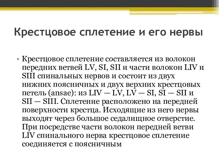 Крестцовое сплетение и его нервы Крестцовое сплетение составляется из волокон передних ветвей