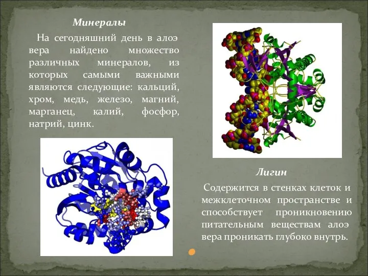 Минералы На сегодняшний день в алоэ вера найдено множество различных минералов, из