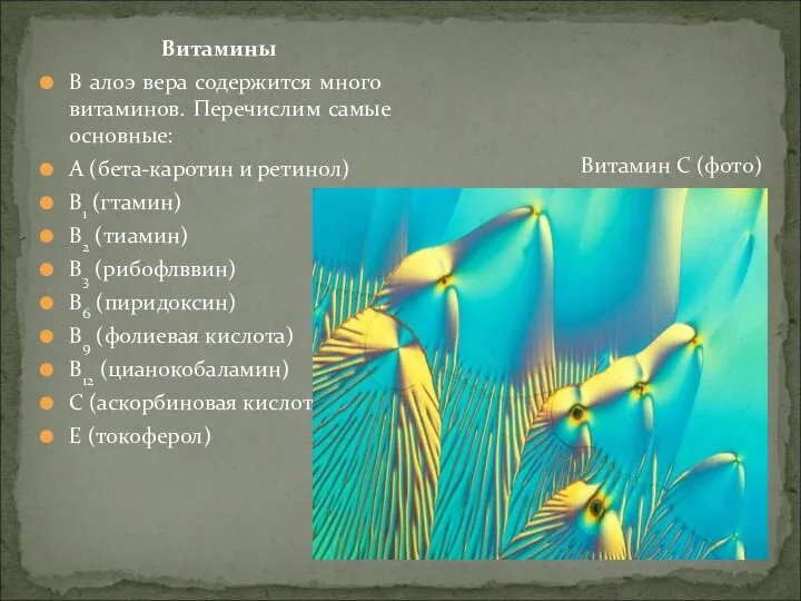 Витамины В алоэ вера содер­жится много витаминов. Перечислим самые основные: А (бета-каротин