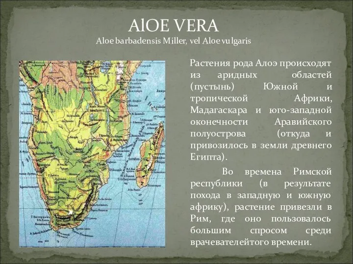 Растения рода Алоэ происходят из аридных областей (пустынь) Южной и тропической Африки,