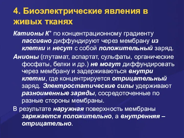 4. Биоэлектpические явления в живых тканях Катионы К+ по концентpационному гpадиенту пассивно