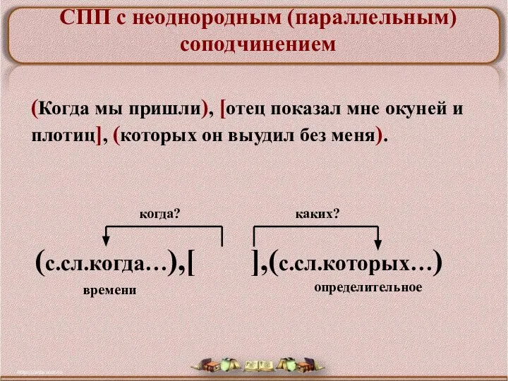 (Когда мы пришли), [отец показал мне окуней и плотиц], (которых он выудил