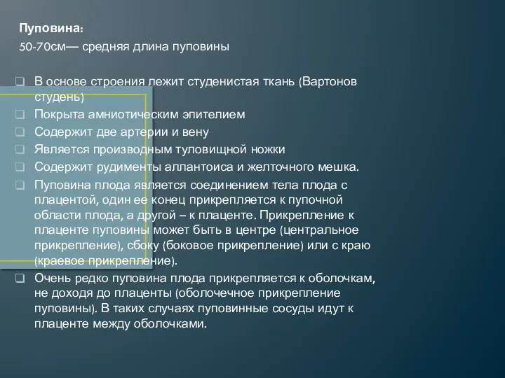 Пуповина: 50-70см— средняя длина пуповины В основе строения лежит студенистая ткань (Вартонов