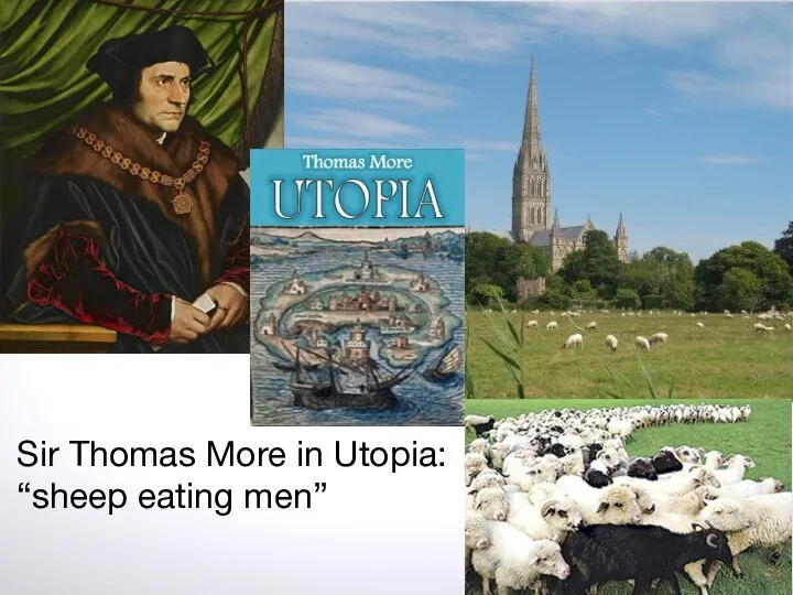 Sir Thomas More in Utopia: “sheep eating men”