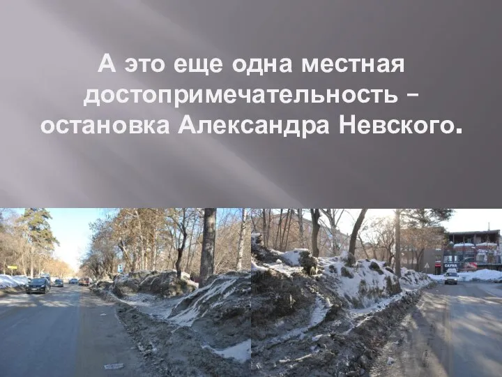 А это еще одна местная достопримечательность – остановка Александра Невского.