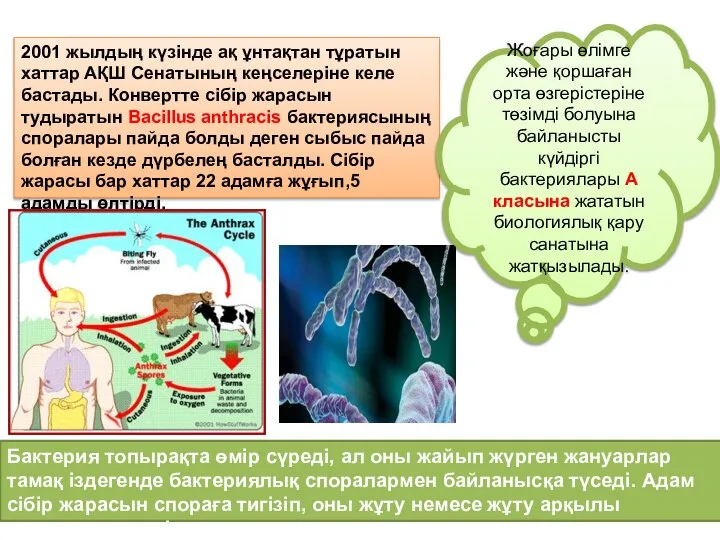 2001 жылдың күзінде ақ ұнтақтан тұратын хаттар АҚШ Сенатының кеңселеріне келе бастады.