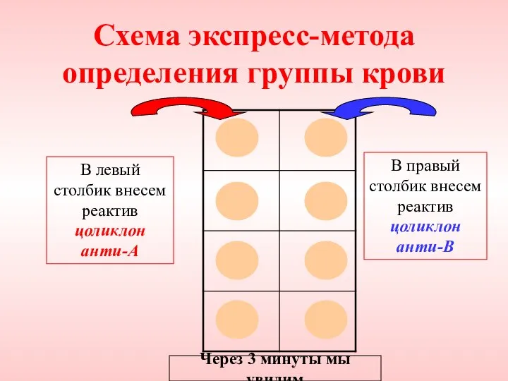 Схема экспресс-метода определения группы крови В левый столбик внесем реактив цоликлон анти-А