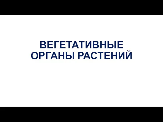 ВЕГЕТАТИВНЫЕ ОРГАНЫ РАСТЕНИЙ