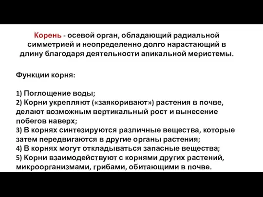 Корень - осевой орган, обладающий радиальной симметрией и неопределенно долго нарастающий в