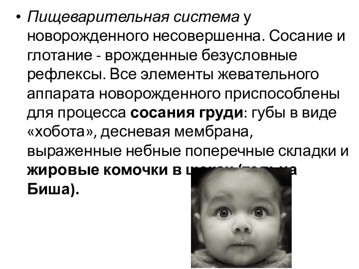 Пищеварительная система у новорожденного несовершенна. Сосание и глотание - врожденные безусловные рефлексы.