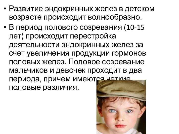 Развитие эндокринных желез в детском возрасте происходит волнообразно. В период полового созревания