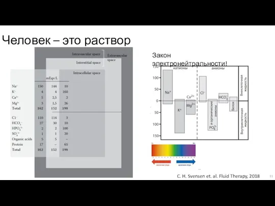 Человек – это раствор C. H. Svensen et. al. Fluid Therapy, 2018 Закон электронейтральности!